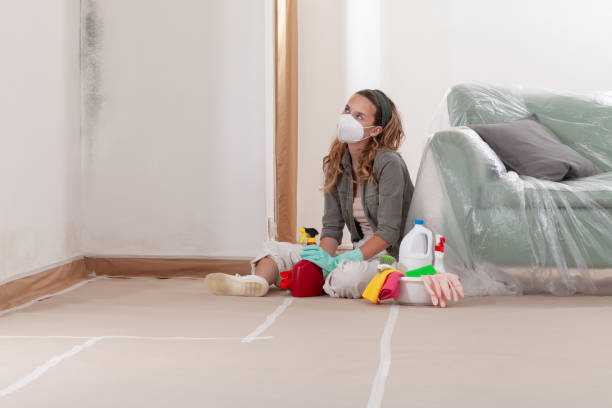 Reliable Mold Remediation contractor in Bridgewater, VA by Cheap Mold Removal