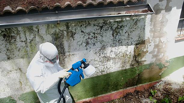 Top rated local Mold Remediation specialists in Bridgewater, VA